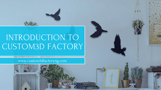Introduction to Custom3D Factory NG: Our Story and Vision